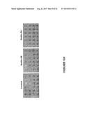 MDM2 INHIBITORS FOR TREATMENT OF OCULAR CONDITIONS diagram and image