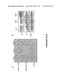 MDM2 INHIBITORS FOR TREATMENT OF OCULAR CONDITIONS diagram and image