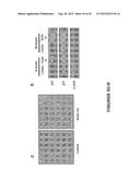 MDM2 INHIBITORS FOR TREATMENT OF OCULAR CONDITIONS diagram and image