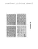 MDM2 INHIBITORS FOR TREATMENT OF OCULAR CONDITIONS diagram and image