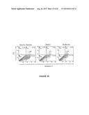 MDM2 INHIBITORS FOR TREATMENT OF OCULAR CONDITIONS diagram and image