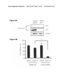 MDM2 INHIBITORS FOR TREATMENT OF OCULAR CONDITIONS diagram and image