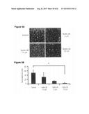 MDM2 INHIBITORS FOR TREATMENT OF OCULAR CONDITIONS diagram and image