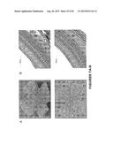 MDM2 INHIBITORS FOR TREATMENT OF OCULAR CONDITIONS diagram and image