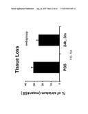 REGENERATION AND REPAIR OF NEURAL TISSUE FOLLOWING INJURY diagram and image