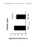 REGENERATION AND REPAIR OF NEURAL TISSUE FOLLOWING INJURY diagram and image