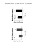 REGENERATION AND REPAIR OF NEURAL TISSUE FOLLOWING INJURY diagram and image