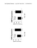 REGENERATION AND REPAIR OF NEURAL TISSUE FOLLOWING INJURY diagram and image