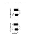 REGENERATION AND REPAIR OF NEURAL TISSUE FOLLOWING INJURY diagram and image