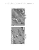 REGENERATION AND REPAIR OF NEURAL TISSUE FOLLOWING INJURY diagram and image