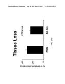 REGENERATION AND REPAIR OF NEURAL TISSUE FOLLOWING INJURY diagram and image