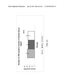 REGENERATION AND REPAIR OF NEURAL TISSUE FOLLOWING INJURY diagram and image