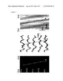 Method for Selection of Agents Influencing Intestinal Motility Disorders     and Pain diagram and image