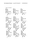 Method for Selection of Agents Influencing Intestinal Motility Disorders     and Pain diagram and image