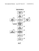 COMPOSITION USING SEED OIL EXTRACTS AND PHOSPHOLIPIDS TO ENHANCE     ABSORPTION OF CAROTENOIDS AND ASSOCIATED METHODS diagram and image