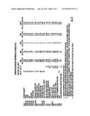 COMPOSITION USING SEED OIL EXTRACTS AND PHOSPHOLIPIDS TO ENHANCE     ABSORPTION OF CAROTENOIDS AND ASSOCIATED METHODS diagram and image