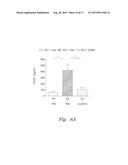 VARIANT ACTIVIN RECEPTOR POLYPEPTIDES AND USES THEREOF diagram and image