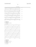 VARIANT ACTIVIN RECEPTOR POLYPEPTIDES AND USES THEREOF diagram and image