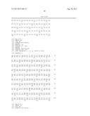 VARIANT ACTIVIN RECEPTOR POLYPEPTIDES AND USES THEREOF diagram and image