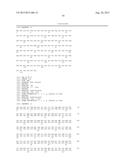 VARIANT ACTIVIN RECEPTOR POLYPEPTIDES AND USES THEREOF diagram and image