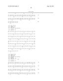 VARIANT ACTIVIN RECEPTOR POLYPEPTIDES AND USES THEREOF diagram and image