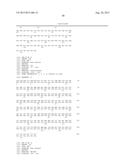 VARIANT ACTIVIN RECEPTOR POLYPEPTIDES AND USES THEREOF diagram and image