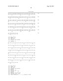 VARIANT ACTIVIN RECEPTOR POLYPEPTIDES AND USES THEREOF diagram and image