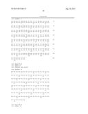 VARIANT ACTIVIN RECEPTOR POLYPEPTIDES AND USES THEREOF diagram and image