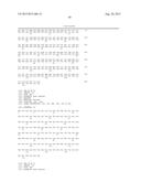 VARIANT ACTIVIN RECEPTOR POLYPEPTIDES AND USES THEREOF diagram and image