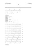 VARIANT ACTIVIN RECEPTOR POLYPEPTIDES AND USES THEREOF diagram and image