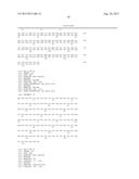 VARIANT ACTIVIN RECEPTOR POLYPEPTIDES AND USES THEREOF diagram and image