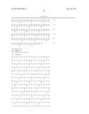 VARIANT ACTIVIN RECEPTOR POLYPEPTIDES AND USES THEREOF diagram and image