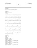 VARIANT ACTIVIN RECEPTOR POLYPEPTIDES AND USES THEREOF diagram and image