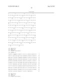 VARIANT ACTIVIN RECEPTOR POLYPEPTIDES AND USES THEREOF diagram and image