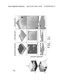 COMPOSITIONS AND METHODS FOR TREATING AMYOTROPHIC LATERAL SCLEROSIS diagram and image