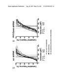 COMPOSITIONS AND METHODS FOR TREATING AMYOTROPHIC LATERAL SCLEROSIS diagram and image