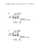 COMPOSITIONS AND METHODS FOR TREATING AMYOTROPHIC LATERAL SCLEROSIS diagram and image