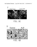 COMPOSITIONS AND METHODS FOR TREATING AMYOTROPHIC LATERAL SCLEROSIS diagram and image