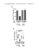 COMPOSITIONS AND METHODS FOR TREATING AMYOTROPHIC LATERAL SCLEROSIS diagram and image