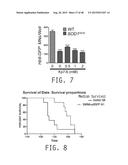 COMPOSITIONS AND METHODS FOR TREATING AMYOTROPHIC LATERAL SCLEROSIS diagram and image