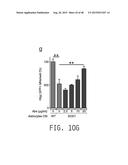 COMPOSITIONS AND METHODS FOR TREATING AMYOTROPHIC LATERAL SCLEROSIS diagram and image