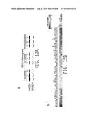 COMPOSITIONS AND METHODS FOR TREATING AMYOTROPHIC LATERAL SCLEROSIS diagram and image