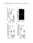 COMPOSITIONS AND METHODS FOR TREATING AMYOTROPHIC LATERAL SCLEROSIS diagram and image