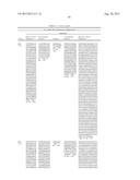 FIBRONECTIN BASED SCAFFOLD DOMAIN PROTEINS THAT BIND TO MYOSTATIN diagram and image