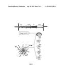 HIV IMMUNE STIMULATING COMPOSITIONS COMPRISING RECOMBINANTLY EXPRESSED     PILI ON BACTERIA AND METHODS RELATED THERETO diagram and image