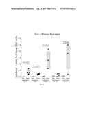 HIV IMMUNE STIMULATING COMPOSITIONS COMPRISING RECOMBINANTLY EXPRESSED     PILI ON BACTERIA AND METHODS RELATED THERETO diagram and image