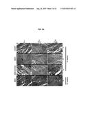 ISOLATION AND CO-TRANSPLANTAION OF BONE MARROW MESENCHYMAL STEM CELLS WITH     CD34+ HEMATOPOIETIC STEM/PROGENITOR CELLS diagram and image