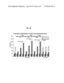 ISOLATION AND CO-TRANSPLANTAION OF BONE MARROW MESENCHYMAL STEM CELLS WITH     CD34+ HEMATOPOIETIC STEM/PROGENITOR CELLS diagram and image