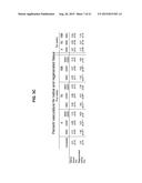 ISOLATION AND CO-TRANSPLANTAION OF BONE MARROW MESENCHYMAL STEM CELLS WITH     CD34+ HEMATOPOIETIC STEM/PROGENITOR CELLS diagram and image