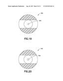 Method and Apparatus for Microorganism Detection diagram and image